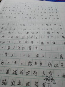 下雨的作文300字，下雨的作文200字