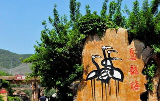 鸟语林歌词，鸟语林歌曲