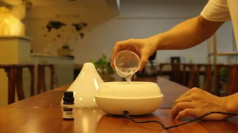 aroma,scent,fragrance和smell的区别