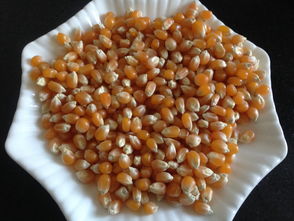 爆玉米花话剧说的是什么，爆玉米花的玉米哪里买