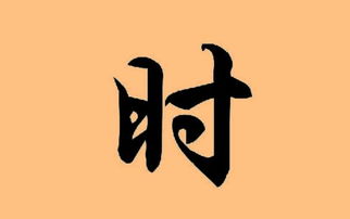 凡可以组什么词?