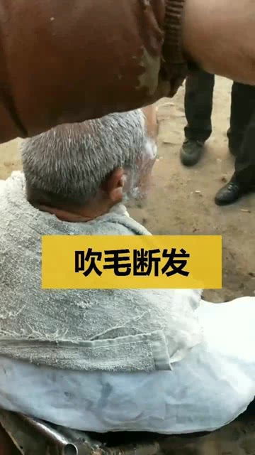 断发是什么原因，断发毛癣菌的症状