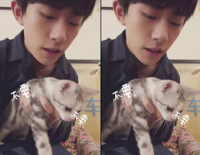 给女朋友起个暖心的外号