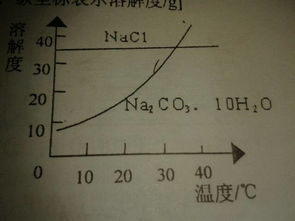 naco3是什么化学式
