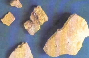 水银莫与砒霜见,狼毒最怕密陀僧,,,求解释