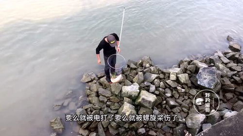 倒运的意思倒运的意思是什么