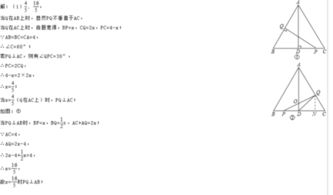 史良简介，史良洵