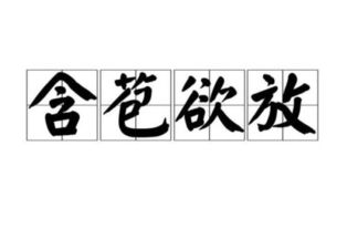 释放的近义词和反义词