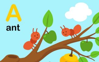 蚂蚁的英文是什么?