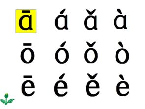 泛怎么读音是什么意思