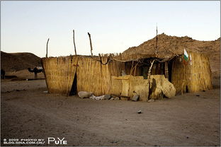 贝都因人是什么人种，贝都因人为什么穿宽大袍子