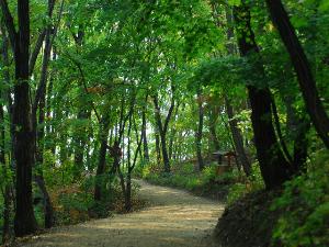 沿溯阻绝的绝什么意思，沿溯阻绝的沿溯是什么