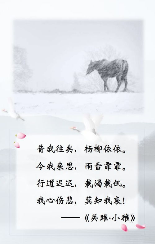 诗经采薇的翻译