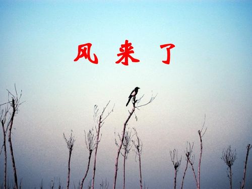风来了雨来了是什么歌，风来了雨来了他们为什么不知道