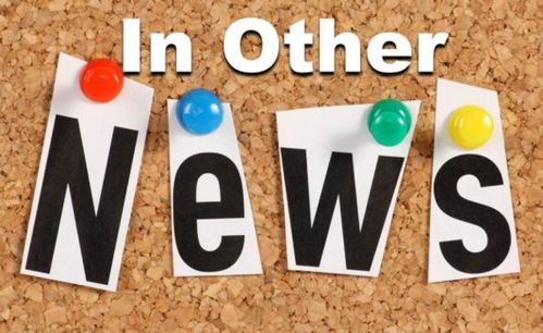 other的用法和固定搭配，other的用法及搭配