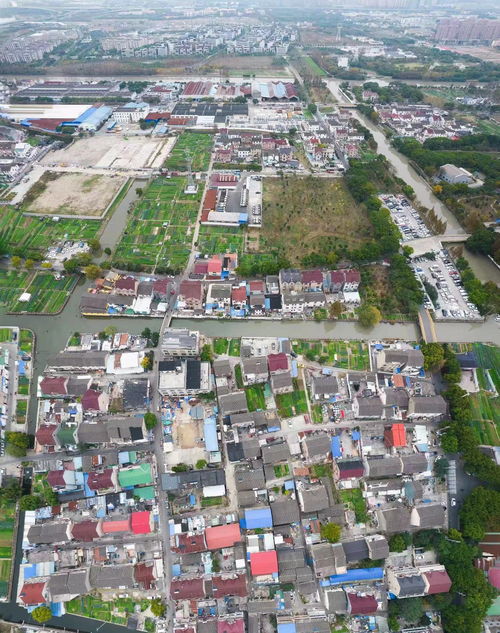 北蔡森林公园什么时候开始建造