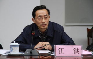 江洪镇到越南多少公里