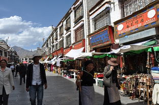 拉萨八角街概述