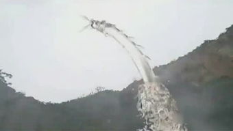 璞玉浑金是什么意思