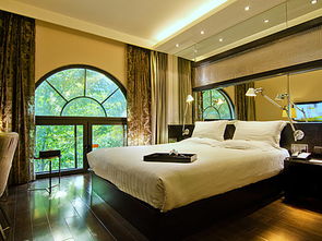 桔子酒店官网首页，桔子酒店官网预订