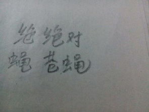 艳能组什么词语