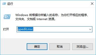 policy 什么意思