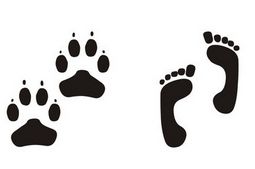 什么样的脚印怎么写?