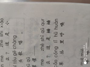 印刷_的读音印刷_的读音是什么