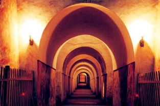 乾陵在西安的什么地方