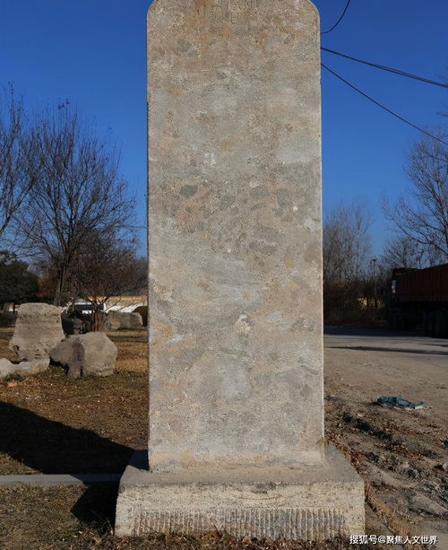 宋伟明的主要论文: