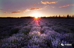 请告诉我陈汝佳《故园之恋》歌词?