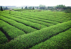 贵州省天气情况