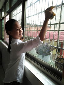 以《如果我能再做一回小学生》为题写一篇作文该怎样写