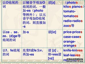老鼠的复数是什么?