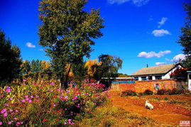 密山天气30天查询，密山天气40天气预报
