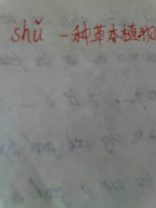 黏的拼音怎么拼，黍的拼音怎么写的拼音