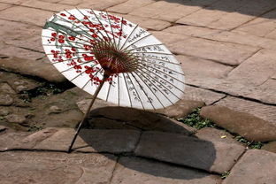 油纸伞诗歌原文，油纸伞诗歌雨巷在哪里