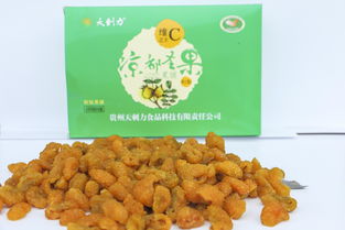 果脯的拼音怎么读，果脯的拼音怎么写