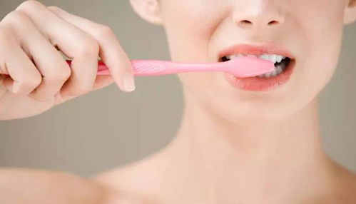 珐琅质是什么化学成分