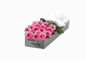 粉玫瑰花语是什么