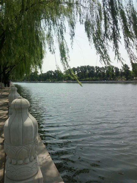 恒的拼音怎么写