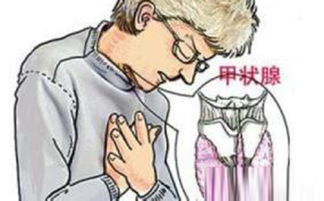 脖子粗不是大款就是伙夫是什么意思，伙夫是什么意思饭圈