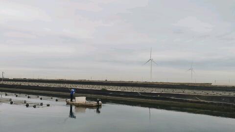 凫雁满回塘上一句