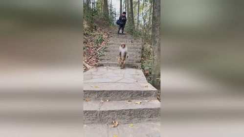 形容和善的成语有哪些