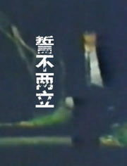 势不两立，势不两立电视剧演员表