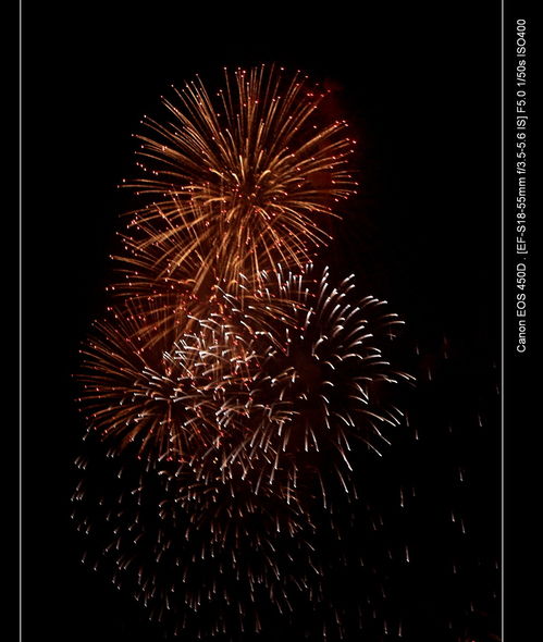 doves中的s 读什么，dove是德芙还是多芬