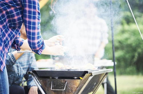 去野营用英语怎么说