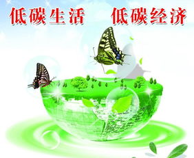 低碳经济的实质是( )