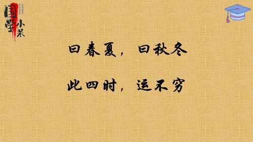 韶光是什么意思 词语韶光什么意思