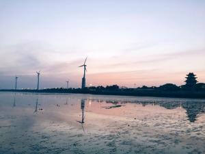 上海奉贤海滩好玩还是金山海滩好玩啊?对了,各有名字吗?